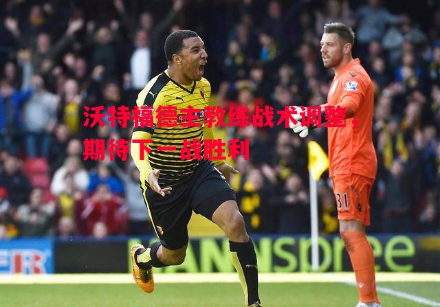 沃特福德主教练战术调整，期待下一战胜利