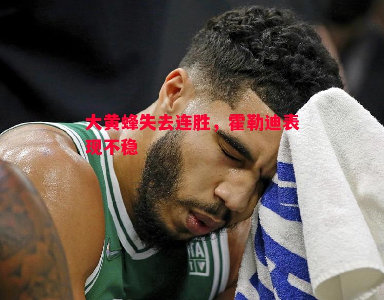 大黄蜂失去连胜，霍勒迪表现不稳