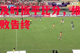丹扎及时扳平比分，维拉西夫失败告终