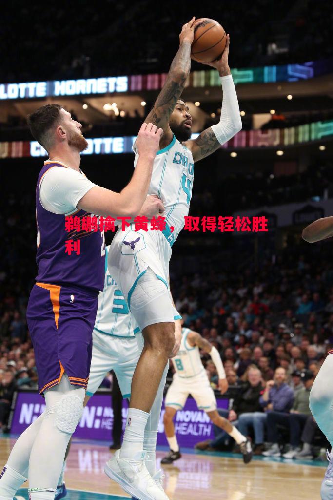 鹈鹕擒下黄蜂，取得轻松胜利